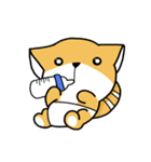 Big head Fox cat（個別スタンプ：25）