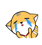 Big head Fox cat（個別スタンプ：28）