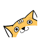 Big head Fox cat（個別スタンプ：36）
