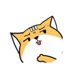 Big head Fox cat（個別スタンプ：40）