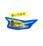 Yellow @ Fish（個別スタンプ：1）