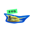 Yellow @ Fish（個別スタンプ：4）