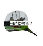 レイアさん（個別スタンプ：3）