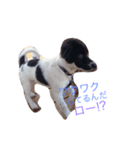 おまぬ犬.ロー（個別スタンプ：5）