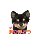 我が家のかわいい子たち（個別スタンプ：7）
