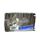 猫の気持ち2（個別スタンプ：13）