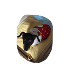 Kato Chip（個別スタンプ：14）