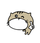 Fish cat balls（個別スタンプ：4）