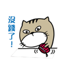 Fish cat balls（個別スタンプ：6）