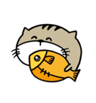Fish cat balls（個別スタンプ：9）
