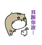 Fish cat balls（個別スタンプ：14）