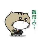 Fish cat balls（個別スタンプ：17）