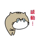 Fish cat balls（個別スタンプ：24）