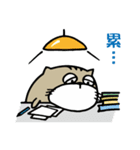 Fish cat balls（個別スタンプ：25）