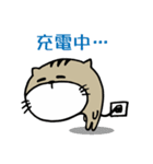 Fish cat balls（個別スタンプ：27）