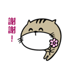 Fish cat balls（個別スタンプ：29）