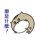 Fish cat balls（個別スタンプ：33）