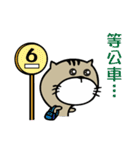 Fish cat balls（個別スタンプ：34）