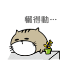Fish cat balls（個別スタンプ：37）