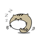 Fish cat balls（個別スタンプ：38）