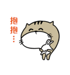 Fish cat balls（個別スタンプ：40）