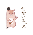 ポチャいリス、ポチャリス君。太りすぎ（個別スタンプ：3）