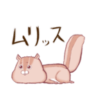 ポチャいリス、ポチャリス君。太りすぎ（個別スタンプ：8）