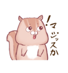 ポチャいリス、ポチャリス君。太りすぎ（個別スタンプ：14）