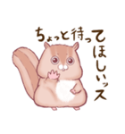 ポチャいリス、ポチャリス君。太りすぎ（個別スタンプ：18）