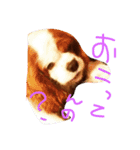 きゃばりあ（個別スタンプ：7）