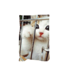 たらだよ（個別スタンプ：1）