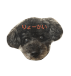 ちゃっくんのひとこと1（個別スタンプ：3）