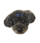 ちゃっくんのひとこと1（個別スタンプ：4）
