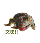 SU家族（個別スタンプ：2）