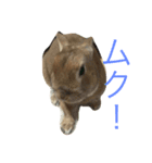 SU家族（個別スタンプ：7）