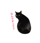 むくむく黒猫のうに（個別スタンプ：7）