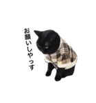 むくむく黒猫のうに（個別スタンプ：8）