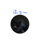 むくむく黒猫のうに（個別スタンプ：15）
