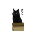 むくむく黒猫のうに（個別スタンプ：16）