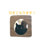 むくむく黒猫のうに（個別スタンプ：17）