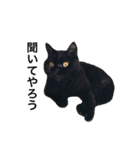 むくむく黒猫のうに（個別スタンプ：18）