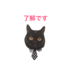 むくむく黒猫のうに（個別スタンプ：23）