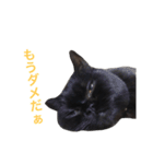 むくむく黒猫のうに（個別スタンプ：25）