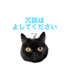 むくむく黒猫のうに（個別スタンプ：27）