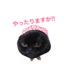むくむく黒猫のうに（個別スタンプ：28）