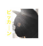 むくむく黒猫のうに（個別スタンプ：29）