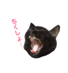 むくむく黒猫のうに（個別スタンプ：30）