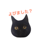 むくむく黒猫のうに（個別スタンプ：39）