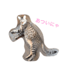 我が家のにゃんこのくーちゃん＆にこちゃん（個別スタンプ：8）
