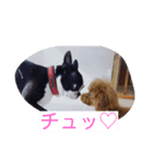 ボステリ ミミ（個別スタンプ：5）